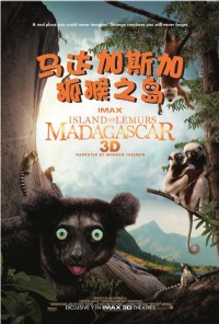 狐猴之岛：马达加斯加