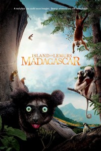 狐猴之岛：马达加斯加
