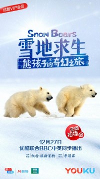 雪地求生：熊孩子的奇幻之旅